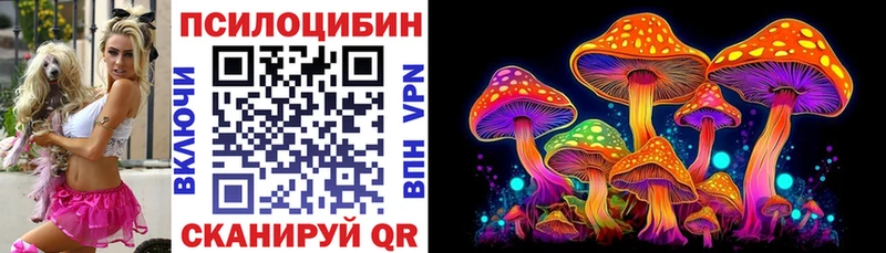 магазин  наркотиков  Сызрань  Псилоцибиновые грибы Magic Shrooms 